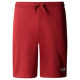 The North Face Ανδρικό σορτς Graphic Light Shorts